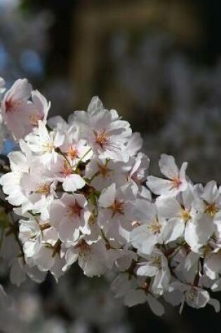 Cover of Cherry Blossoms Journal