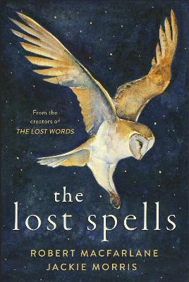 Book cover for The Lost Spells