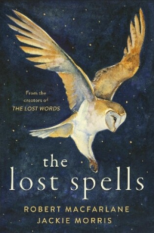 Cover of The Lost Spells