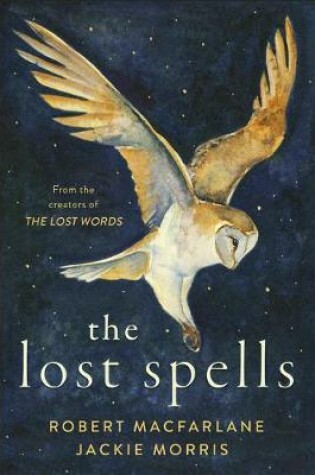 Cover of The Lost Spells