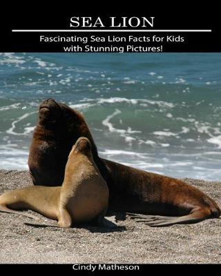 Book cover for Sea Lion