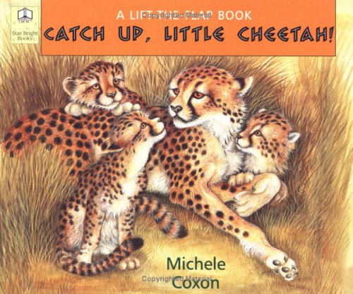 Book cover for Catch Up, Little Cheetah