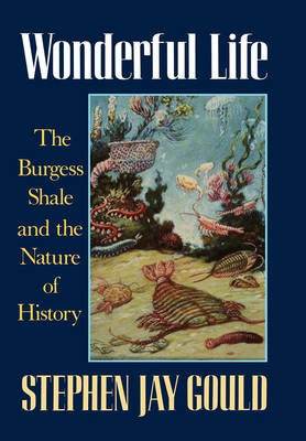 Cover of Wonderful Life