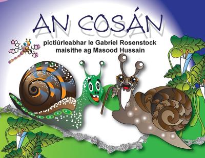 Book cover for An Cosán