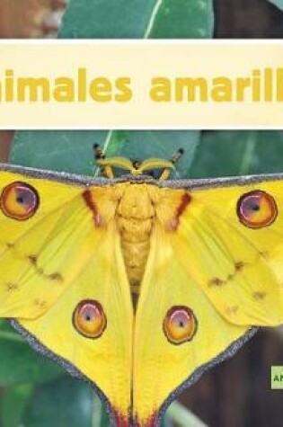 Cover of Animales Amarillos