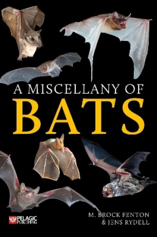 Cover of A Miscellany of Bats