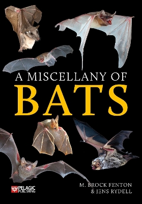 Cover of A Miscellany of Bats