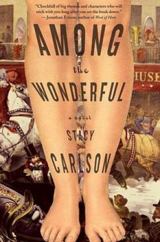 Cover of Among the Wonderful