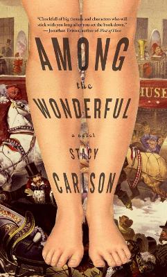 Book cover for Among The Wonderful