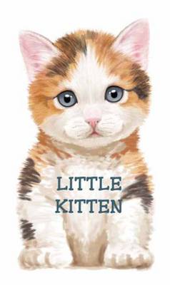 Book cover for Little Kitten