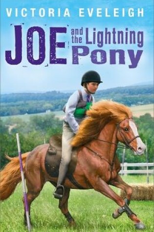 Cover of Joe and the Lightning Pony