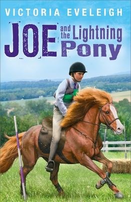 Book cover for Joe and the Lightning Pony