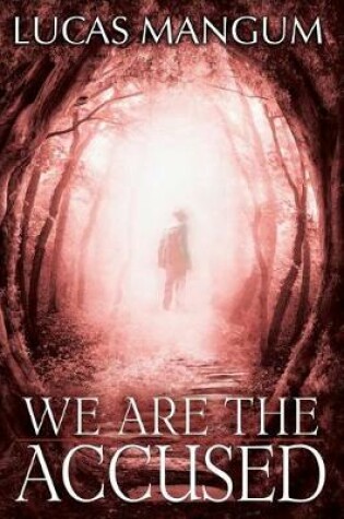 Cover of We Are the Accused