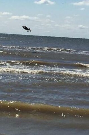 Cover of Pelican Coming in for a Beach Landing Journal