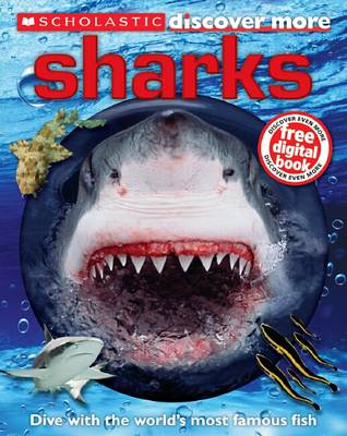 Book cover for Sharks