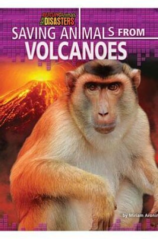 Cover of Saving Animals from Volcanoes