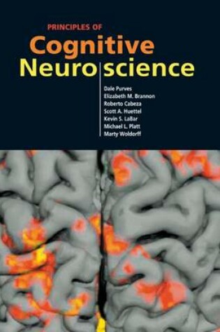 Cover of Principles of Cognitive Neuroscience