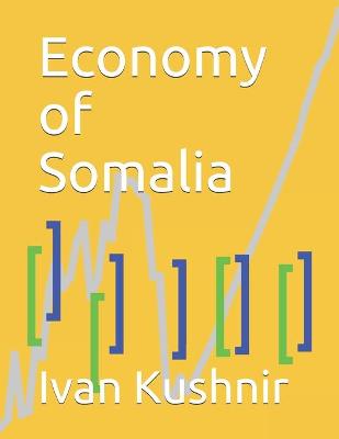 Book cover for Economy of Somalia