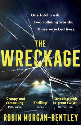 Book cover for The Wreckage