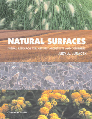 Book cover for Natural Surfaces