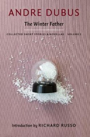 Cover of The Winter Father