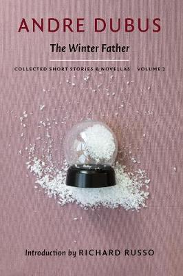 Cover of The Winter Father