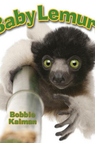 Cover of Baby Lemurs