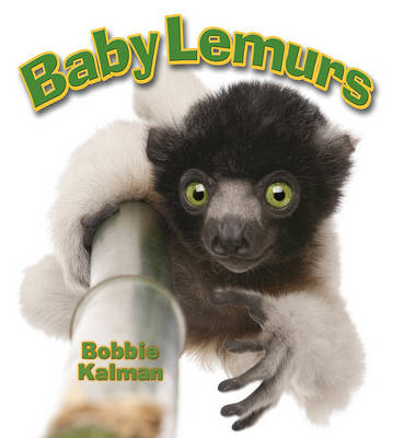 Cover of Baby Lemurs