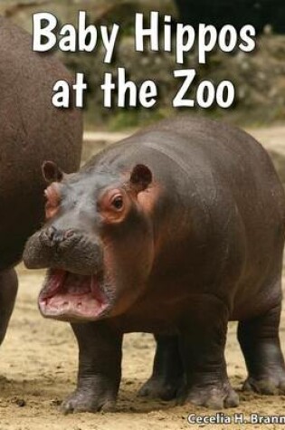 Cover of Baby Hippos at the Zoo