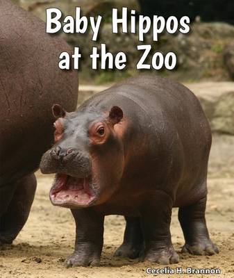 Cover of Baby Hippos at the Zoo