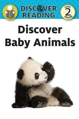 Book cover for Discover Baby Animals