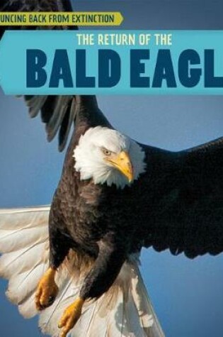 Cover of The Return of the Bald Eagle