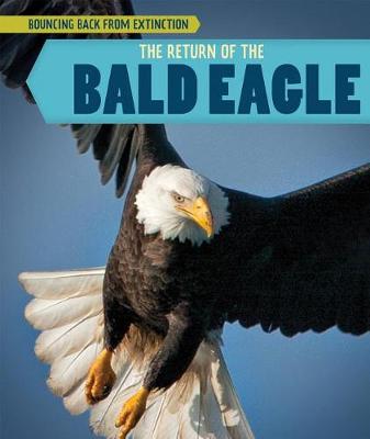 Cover of The Return of the Bald Eagle