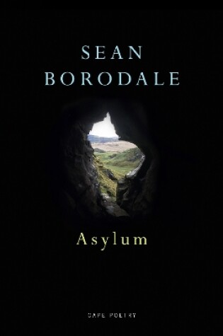 Cover of Asylum