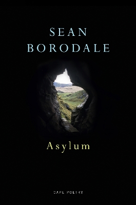 Book cover for Asylum