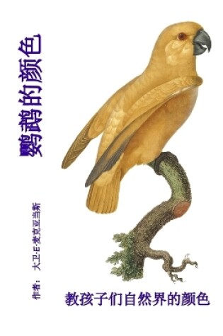 Cover of 鹦鹉的颜色