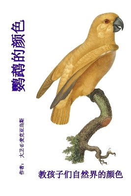 Book cover for 鹦鹉的颜色