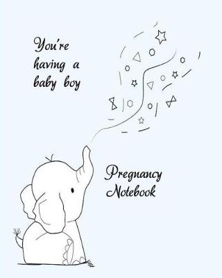 Book cover for You're Having A Baby Boy