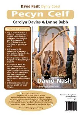 Book cover for Pecyn Celf David Nash - Dyn y Coed