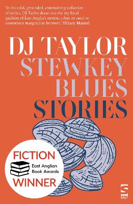 Book cover for Stewkey Blues