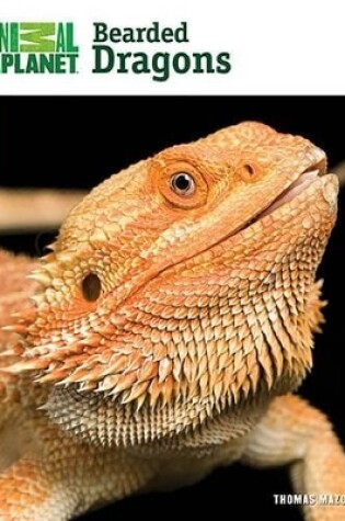 Cover of Bearded Dragons