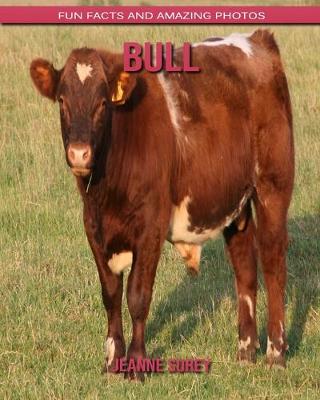 Book cover for Bull