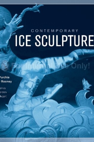 Cover of Contemporary Ice Sculpture