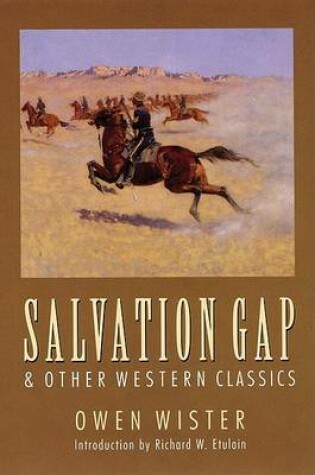 Cover of Salvation Gap