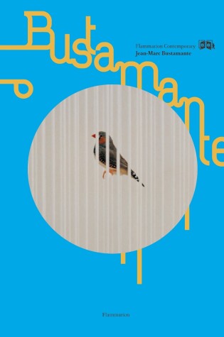 Cover of JEAN-MARC BUSTAMANTE