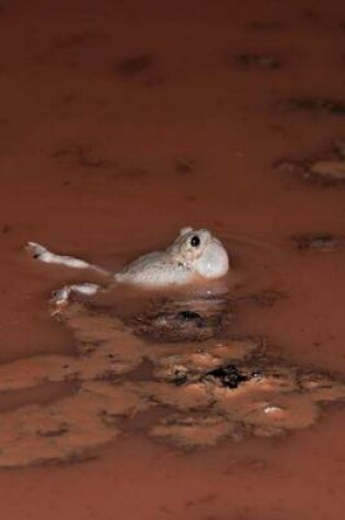 Cover of A Spadefoot Toad in the Mud