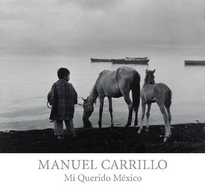 Book cover for Manuel Carrillo