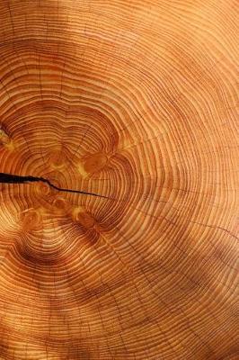 Book cover for Growth Rings of a Spruce Tree Journal