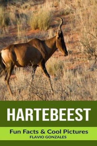 Cover of Hartebeest