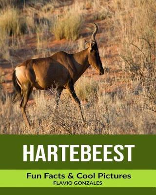 Book cover for Hartebeest